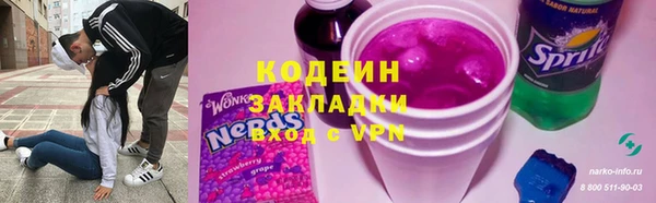 шишки Белоозёрский